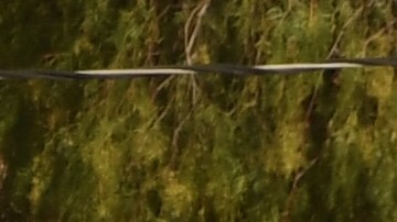 Una SUV del sheriff de Los Ángeles como esta fue impactada por los sospechosos.