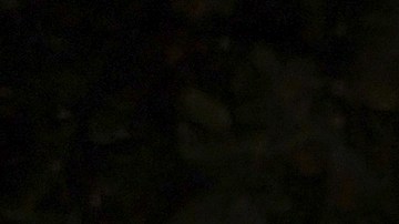 Ron DeSantis dijo estar dispuesto a la idea de revertir los privilegios especiales que se otorgaron a Disney.