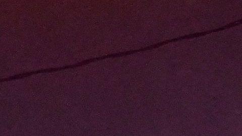 Detienen a conductor que cruzó una vía cerrada y pasó por encima de cadáver