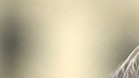 Ex marine estadounidense encarcelado en Rusia desde 2019 sale libre al ser intercambiado por un piloto ruso