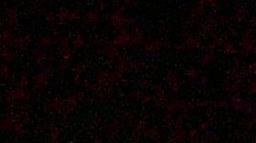 En el lugar respondieron nueve ambulancias, dos comandantes de distrito y efectivos administrativos.