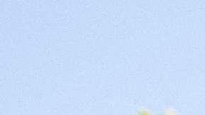 A Yellow Police tape blocks access to the 1100 block of Maytor place where Jacqueline Avant's house is at the top of the hill, in Beverly Hills , California on December 1, 2021. - The wife of the man known as the "Godfather of Black Music" was shot and killed Wednesday in a break-in at the couple's Beverly Hills home, US media reported. Jacqueline Avant died after being shot by a burglar, who also opened fire on a security guard, according to tabloid website TMZ. (Photo by VALERIE MACON / AFP) (Photo by VALERIE MACON/AFP via Getty Images)