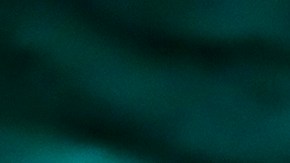 Los fanáticos de León se perderán el próximo partido ante Puebla.