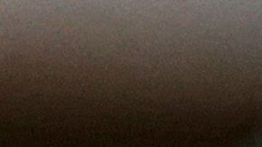 FOTO: Hallan a cachorro de león africano deambulando en calles de México