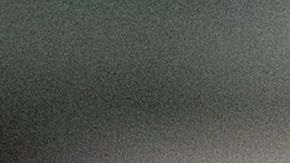 VIDEO: A ritmo de Romeo Santos, hombre es captado bailando con cocodrilo bebé y se vuelve viral