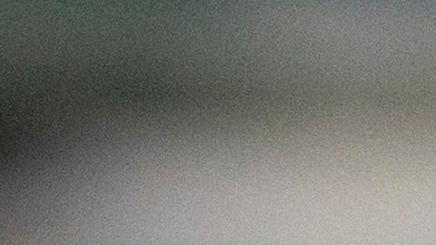 VIDEO: A ritmo de Romeo Santos, hombre es captado bailando con cocodrilo bebé y se vuelve viral