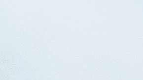 Putin anuló el pasado jueves el asalto a la fortificada fábrica metalúrgica para salvar las vidas de los soldados rusos, pero ordenó bloquearla de tal manera que "no pase ni una mosca".