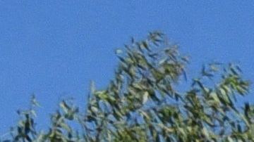 Los camioneros jugaron una tanda de penales con el club de segunda división.