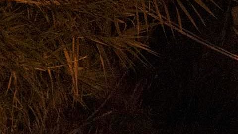 En México, 2 de cada 3 personas viven con miedo ante la inseguridad en el país