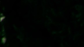 Estados Unidos alerta a sus turistas por inseguridad y violencia en 30 estados de México