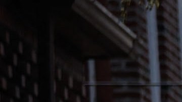 Hasta ahora las autoridades siguen en las averiguaciones del hecho y se han limitado a dar detalles de lo ocurrido.