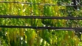 México suma detención de más 5,000 migrantes en los últimos cuatro días