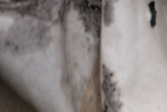 Cuerpos abandonados el camino entre Myla y Mriia, en Ucrania.