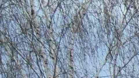El alcalde ya había adelantado que se había encontrado una fosa común de unos 30 metros de extensión cavada por las tropas rusas a unos 20 kilómetros de la ciudad.