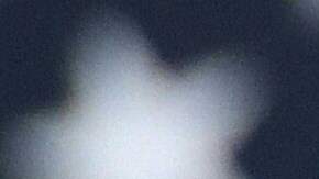 Biden no tiene planes de viajar a Ucrania, pese a invitación de Zelenski