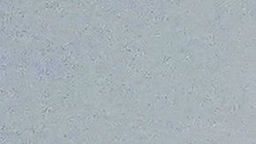 Amber Heard en el juicio con difamación contra su ex esposo Johnny Depp.