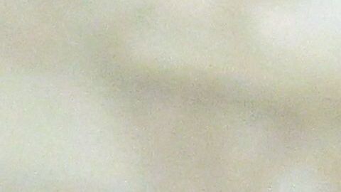 El pontífice expresa cotidianamente su profunda preocupación por la guerra desatada por la invasión rusa de Ucrania desde el pasado 24 de febrero y para cuyo fin ha propuesto incluso la mediación de la Santa Sede.