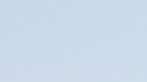 Trump cierra la puerta a Twitter, dice que no volverá incluso si Musk le reactiva su cuenta
