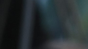 Michelle Salas | Pascal Le Segretain/Getty Images.