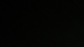 Los aficionados podrán entrar con peluches al Estadio Azteca.