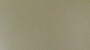 Nicola Peltz en la Met Gala 2021.