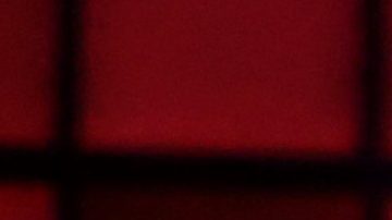 Ángela Aguilar | Rich Polk/Getty Images for The Latin Recording Academy.