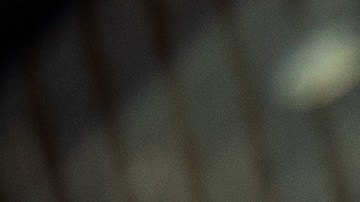 CBP procesa inmigrantes en la frontera