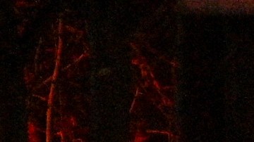 Los heridos en el tiroteo fueron trasladados a diferentes hospitales de la localidad para recibir atención médica.