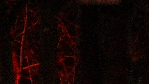 Los heridos en el tiroteo fueron trasladados a diferentes hospitales de la localidad para recibir atención médica.