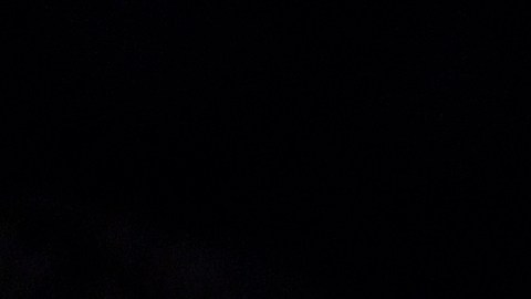 El escolta ganó un bono de $225,000 dólares.