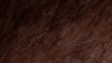 Saúl 'Canelo' Álvarez ha atacado en varias oportunidades a Ryan García tras su salida del Canelo Team.