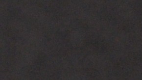 Lady Gaga no debe estar nada contenta tras el insólito error administrativo.