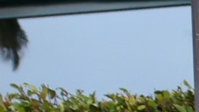 BTS en la alfombra roja de los Premios Grammy 2022.