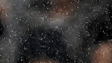 La fanática recibió un duro golpe de los funcionarios de seguridad.