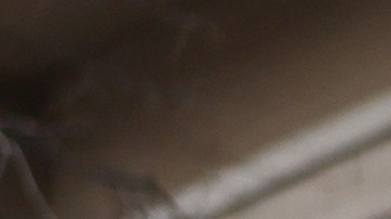 Los fiscales del condado de Kent informaron que no se tomará una decisión de los posibles cargos contra el policía, que permanece anónimo, hasta que la Policía del Estado de Michigan termine su investigación.