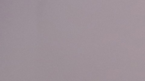 El primer video de esta red solo dura 18 segundos.