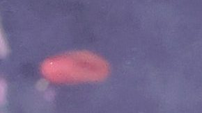 Eduin Caz de Grupo Firme | Kevin Winter/Getty Images for Coachella.