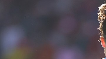 Oleksandr Zinchenko y Jack Grealish celebran el gol anotado por su equipo en la FA Cup