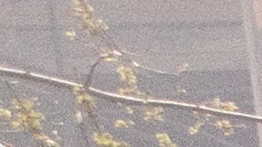 Un centro comercial fue atacado por un misil ruso el 16 de abril de 2022 en Kharkiv, Ucrania