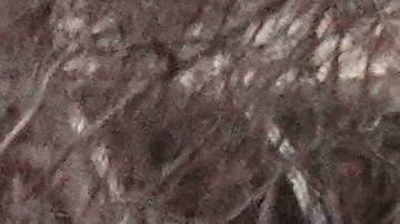 Las personas que protestaban se detenían a confrontar a la policía gritando y coreando a los funcionarios, pero no hubo incidentes mayores.