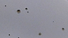 Sergio "Checo" Pérez.