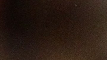 El exjugador y asistente de Utah Jazz fue detenido en la noche del miércoles.