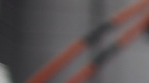 VIDEO: “Patron”, el héroe canino que salva vidas al buscar explosivos en Ucrania