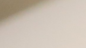 Escándalo en Michigan, descubren a alumno de preescolar con botella de tequila; la compartió con otros niños