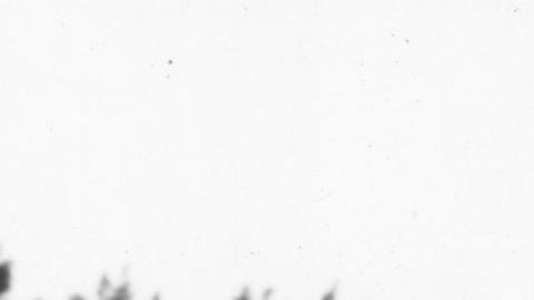 Martin Luther King fue uno de los mayores defensores de los derechos humanos.