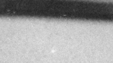 Mientras se analizaba la causa de la muerte de Albert Einstein, una autopsia extrajo el cerebro del genio, sin el permiso de su familia.