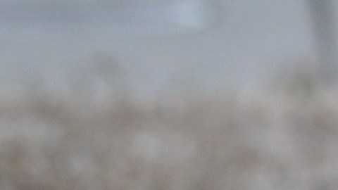 Imponen restricciones sin precedentes para riego al aire libre en tres condados de California