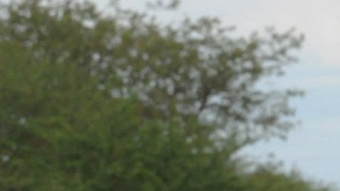 Joven muere en representación de la Pasión de Cristo en Nigeria; todos pensaban que era parte de la obra