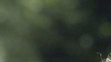 Freddy Rincón acompañado de Carlos 'Pibe' Valderrama durante el Mundial de Francia 1998.