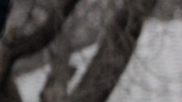 Uno de los oficiales fue llevado en una aeronave a Wichita, mientras que los otros dos fueron trasladados al Centro Médico Wesley en condición estable.